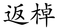 返棹的解释