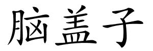 脑盖子的解释