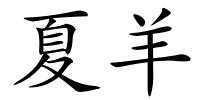 夏羊的解释