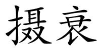 摄衰的解释