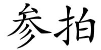 参拍的解释