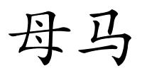 母马的解释
