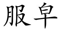 服皁的解释