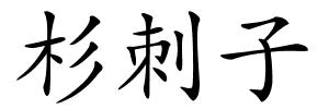 杉刺子的解释