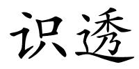 识透的解释