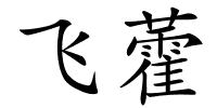 飞藿的解释