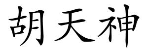 胡天神的解释