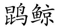 鹍鲸的解释
