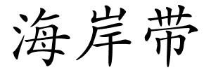 海岸带的解释
