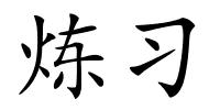 炼习的解释