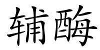 辅酶的解释