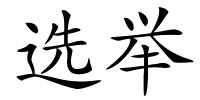 选举的解释