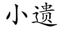 小遗的解释