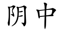 阴中的解释