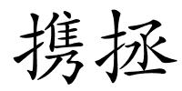 携拯的解释