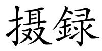摄録的解释