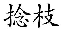 捻枝的解释