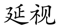 延视的解释