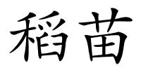 稻苗的解释