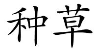 种草的解释