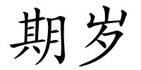 期岁的解释