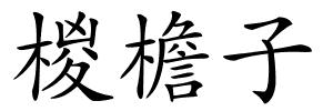 椶檐子的解释