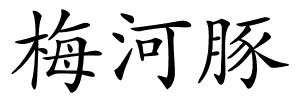 梅河豚的解释