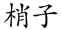 梢子的解释