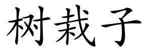 树栽子的解释