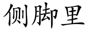 侧脚里的解释