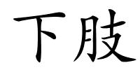 下肢的解释