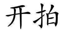 开拍的解释
