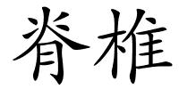 脊椎的解释