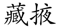 藏掖的解释