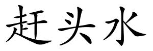赶头水的解释