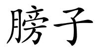 膀子的解释