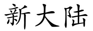新大陆的解释