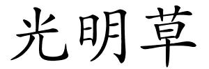 光明草的解释