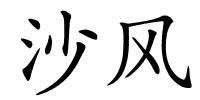 沙风的解释