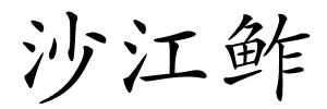 沙江鲊的解释