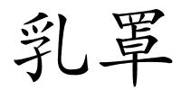 乳罩的解释