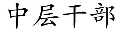 中层干部的解释