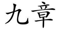 九章的解释