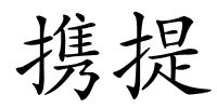携提的解释