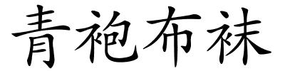 青袍布袜的解释