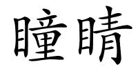瞳睛的解释