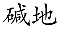 碱地的解释