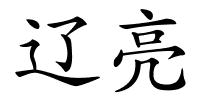 辽亮的解释