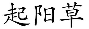 起阳草的解释