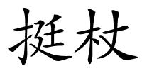 挺杖的解释